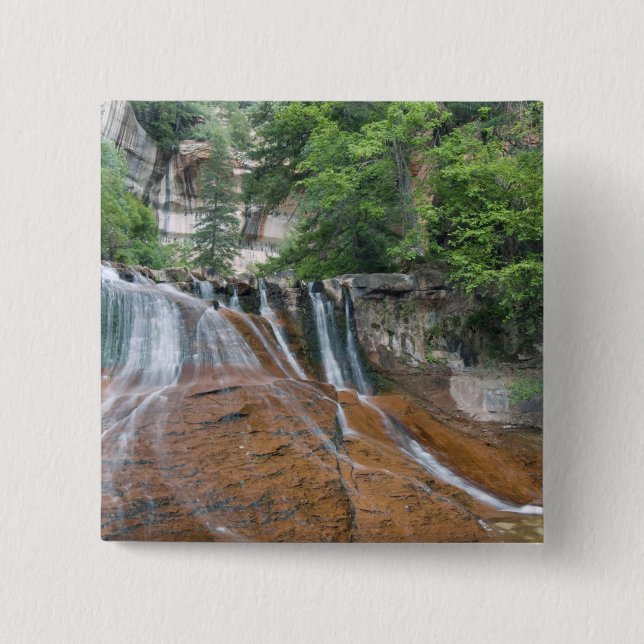 Chapa Cuadrada Cascada, Parque Nacional Zion, Utah, EE. UU. (Anverso)