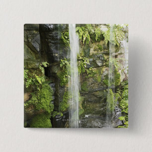 Chapa Cuadrada Cascada, selva tropical templada, Nueva Zelanda.
