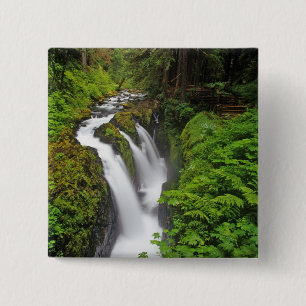 Chapa Cuadrada Cascadas Sol Duc en el Parque Nacional Olímpico en