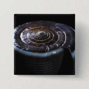 Chapa Cuadrada Cáscara del cono