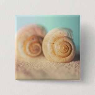 Chapa Cuadrada Cáscaras del nautilus en la playa