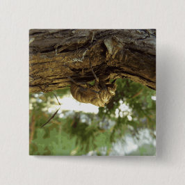 Chapa Cuadrada Caza de Cicada. Tenía prisa.