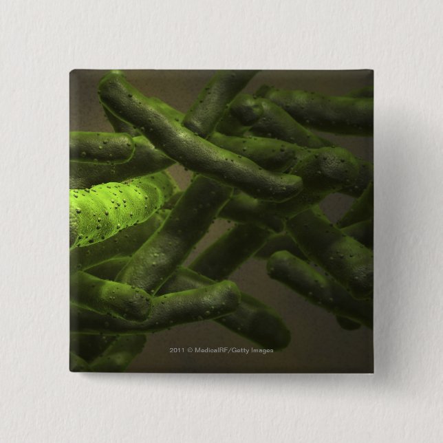 Chapa Cuadrada Células de la tuberculosis de micobacteria (Anverso)