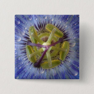 Chapa Cuadrada Cercanía de la flor de la pasión de peluche. Cr