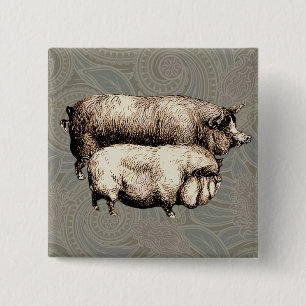 Chapa Cuadrada Cerdos Antiguos Dibujo de cerdito vintage