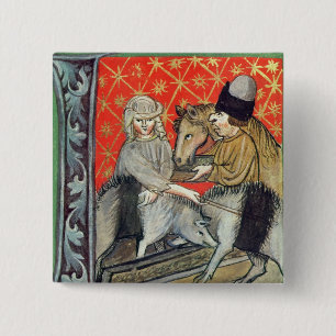 Chapa Cuadrada Cerdos y caballos de la cría