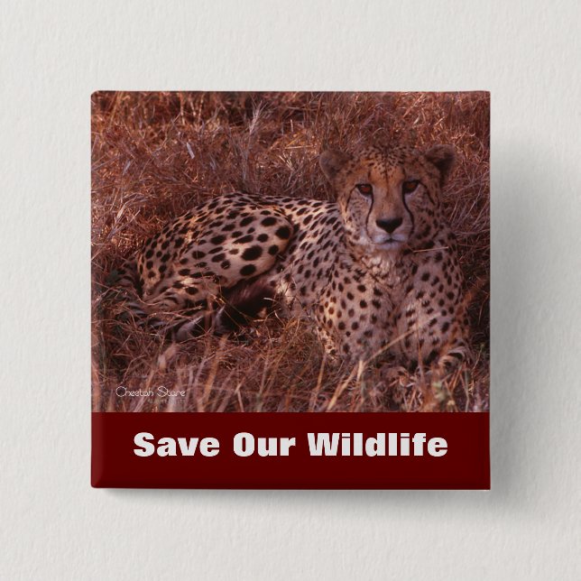Chapa Cuadrada Cheetah Stare salva nuestra vida salvaje (Anverso)