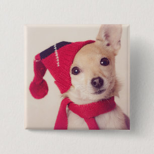 Chapa Cuadrada Chihuahua en casquillo del invierno