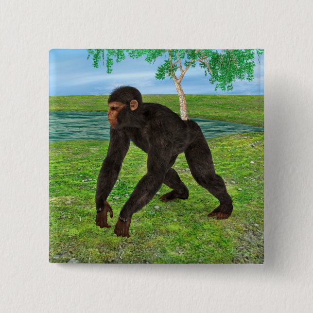 Chapa Cuadrada Chimpancé (Anverso)