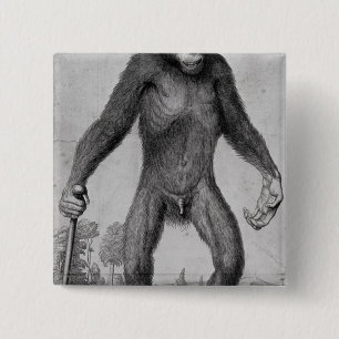 Chapa Cuadrada Chimpancé, 1699