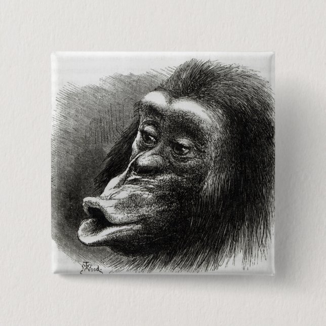 Chapa Cuadrada Chimpancé decepcionado y malhumorado (Anverso)