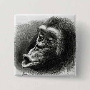 Chapa Cuadrada Chimpancé decepcionado y malhumorado