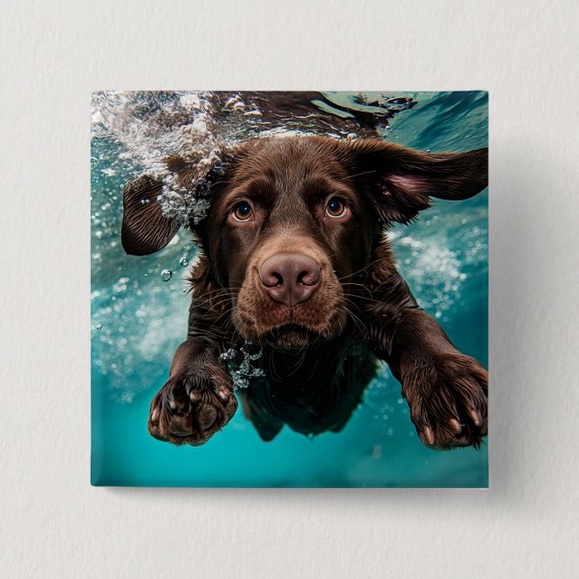 Chapa Cuadrada Chocolate labrador juguetón nadando bajo el agua (Anverso)