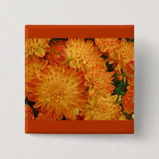 Chapa Cuadrada Chrysanthemum, Naranja de incendios (Anverso)