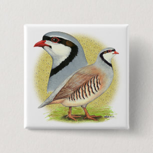 Chapa Cuadrada Chukar Partridge Combo