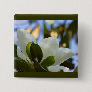 Chapa Cuadrada Cielo de Vidrio Pintado Regalos de Magnolia del Su