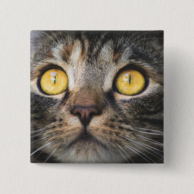 Chapa Cuadrada Cierre de gato con ojos amarillos (Anverso)