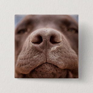Chapa Cuadrada Cierre de la nariz de chocolate