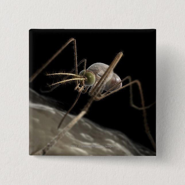 Chapa Cuadrada Ciérrese encima de morder del mosquito 3d (Anverso)