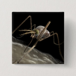 Chapa Cuadrada Ciérrese encima de morder del mosquito 3d