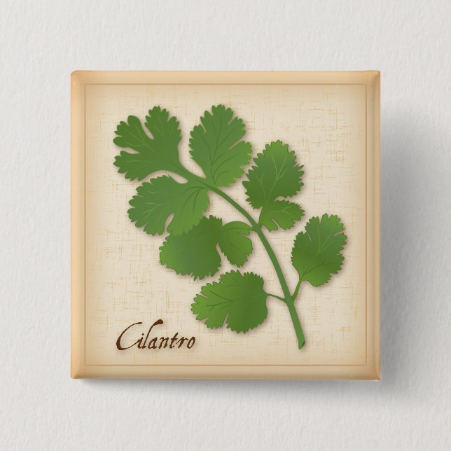 Chapa Cuadrada Cilantro Herb (Anverso)