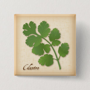 Chapa Cuadrada Cilantro Herb