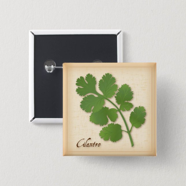 Chapa Cuadrada Cilantro Hierba (Cilantro Herb Button, aromatic leaves with a distinctive flavor.)
