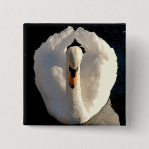 Chapa Cuadrada Cisne