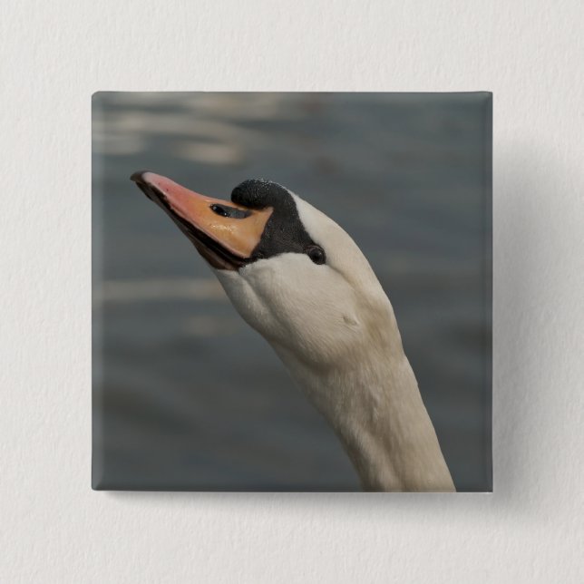 Chapa Cuadrada Cisne (Anverso)