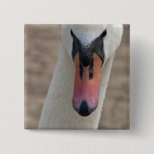 Chapa Cuadrada Cisne