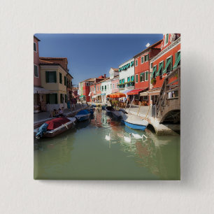 Chapa Cuadrada Cisnes en canal, Isla de Burano, Venecia, Italia