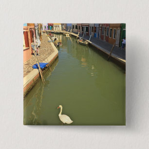 Chapa Cuadrada Cisnes en canal, Isla de Burano, Venecia, Italia