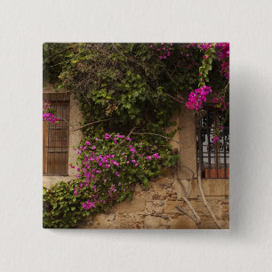 Chapa Cuadrada Ciudad Monumental, edificios floridos