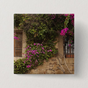 Chapa Cuadrada Ciudad Monumental, edificios floridos