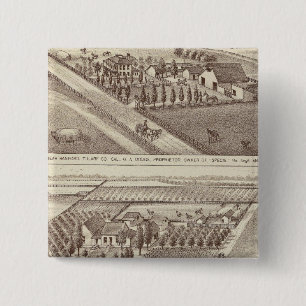 Chapa Cuadrada Clasificaciones de Kings Co