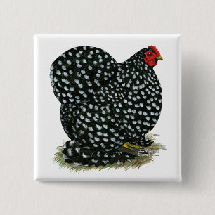 Chapa Cuadrada Cochin Mottled Hen