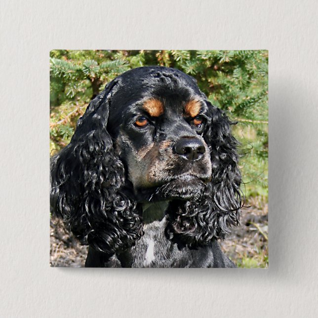 Chapa Cuadrada Cocker Spaniel (Anverso)