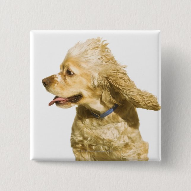 Chapa Cuadrada Cocker Spaniel (Anverso)