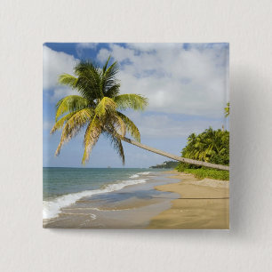 Chapa Cuadrada Coconut Grove Beach en Cades Bay, con St.