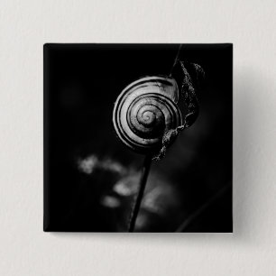Chapa Cuadrada cola de caracol