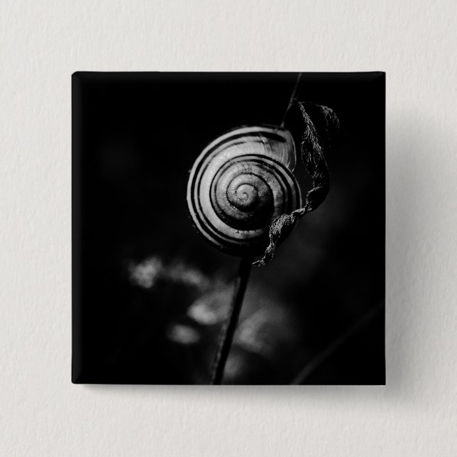 Chapa Cuadrada cola de caracol (Anverso)