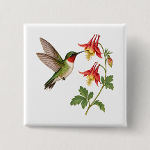Colibrí de Garganta Rubí en un Jardín de Flores