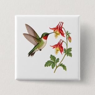 Chapa Cuadrada Colibrí de Garganta Rubí en un Jardín de Flores