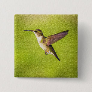 Chapa Cuadrada Colibrí de la acuarela
