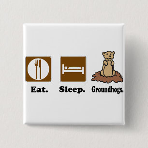 Chapa Cuadrada Comer los Groundhogs del sueño