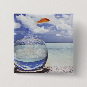 Chapa Cuadrada Composición de Digitaces