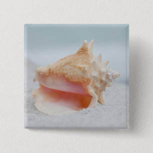 Chapa Cuadrada Concha Shell