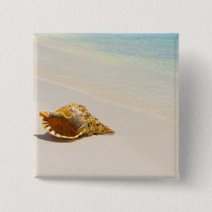 Chapa Cuadrada Concha Shell en la playa 3