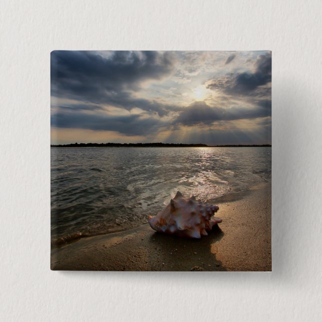 Chapa Cuadrada Concha Shell en la playa el | St Augustine, la (Anverso)