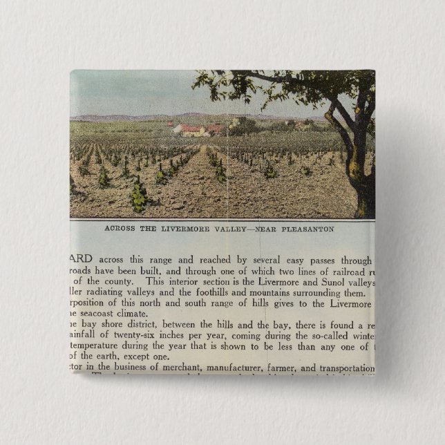 Chapa Cuadrada Condado de Verso Alameda (Anverso)